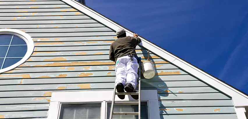 Professional Roof and Siding Repair Services in Chicago Heights, IL