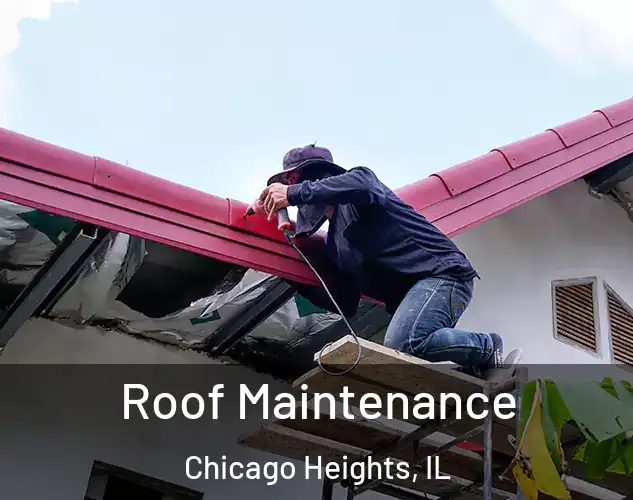  Roof Maintenance Chicago Heights, IL